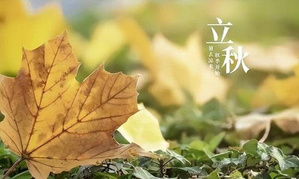 明天立秋，记得吃“迎秋五宝”，祈求吉祥如意  不丢老传统，为秋天打好基础